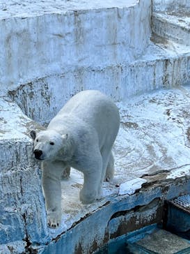 天王寺動物園に投稿された画像（2025/2/2）