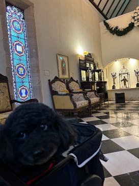 川奈ステンドグラス美術館に投稿された画像（2025/2/2）