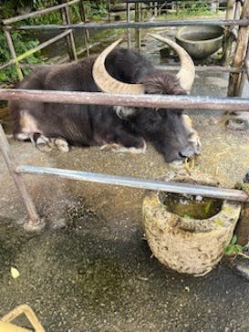 琉球村に投稿された画像（2025/2/2）