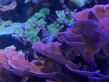 名古屋港水族館に投稿された画像（2025/2/2）