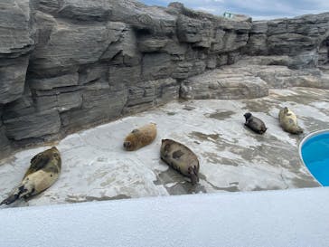 鴨川シーワールドに投稿された画像（2025/2/2）