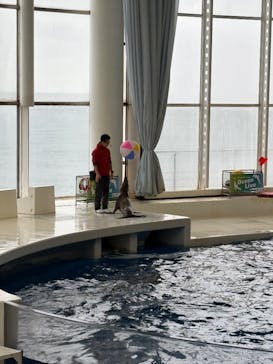 アクアワールド茨城県大洗水族館に投稿された画像（2025/2/2）