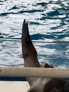 アクアワールド茨城県大洗水族館に投稿された画像（2025/2/2）