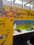 世界淡水魚園水族館　アクア・トトぎふに投稿された画像（2025/2/2）