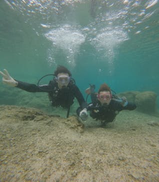 武藤潜水に投稿された画像（2025/2/2）