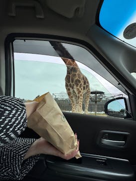 那須サファリパークに投稿された画像（2025/2/2）