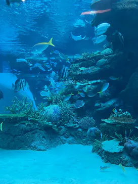 名古屋港水族館に投稿された画像（2025/2/2）