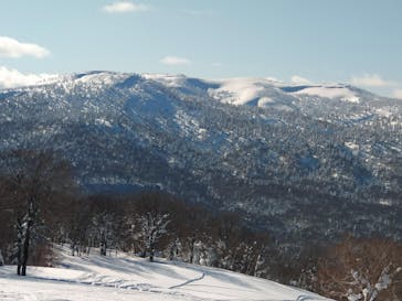 秋田八幡平スキー場に投稿された画像（2025/2/2）