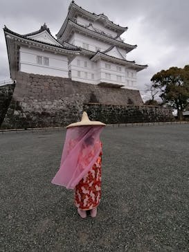 小田原城に投稿された画像（2025/2/2）