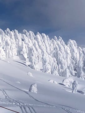阿仁スキー場に投稿された画像（2025/2/2）