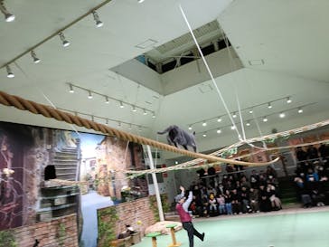 那須どうぶつ王国に投稿された画像（2025/2/2）