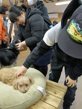 那須どうぶつ王国に投稿された画像（2025/2/2）