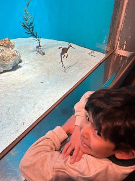 葛西臨海水族園に投稿された画像（2025/2/2）