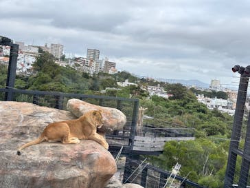 沖縄こどもの国に投稿された画像（2025/2/2）