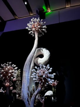 金曜ロードショーとジブリ展　三重展に投稿された画像（2025/2/2）