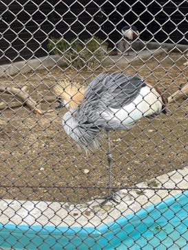 天王寺動物園に投稿された画像（2025/2/2）