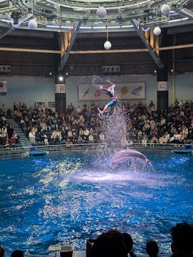 マクセル アクアパーク品川に投稿された画像（2025/2/2）