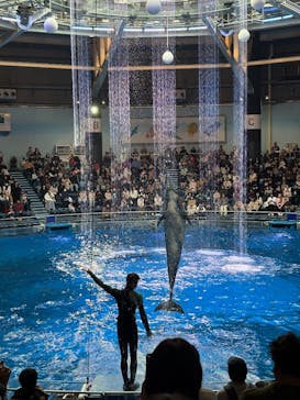 マクセル アクアパーク品川に投稿された画像（2025/2/2）