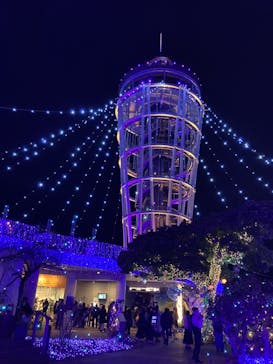 江の島シーキャンドルに投稿された画像（2025/2/2）