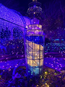 江の島シーキャンドルに投稿された画像（2025/2/2）