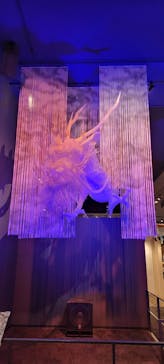 滋賀県立琵琶湖博物館に投稿された画像（2025/2/2）