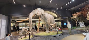 滋賀県立琵琶湖博物館に投稿された画像（2025/2/2）