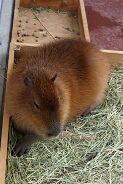 竹島水族館に投稿された画像（2025/2/2）