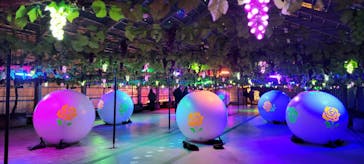 EnglishGardenローザンベリー多和田に投稿された画像（2025/2/2）