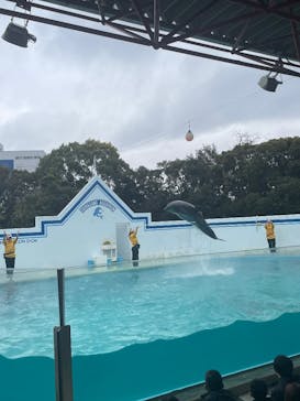 しながわ水族館に投稿された画像（2025/2/2）