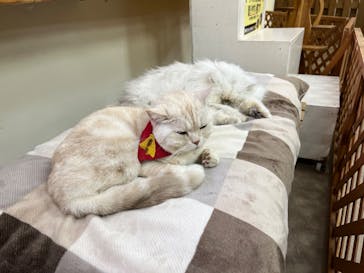 那須どうぶつ王国に投稿された画像（2025/2/2）