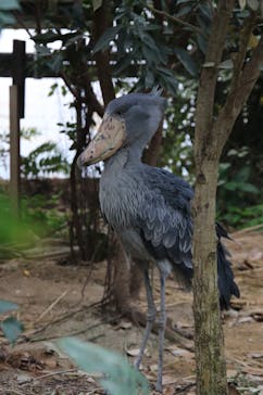 神戸どうぶつ王国に投稿された画像（2025/2/2）