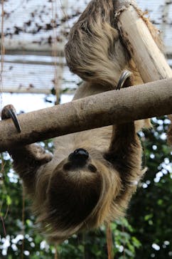 神戸どうぶつ王国に投稿された画像（2025/2/2）