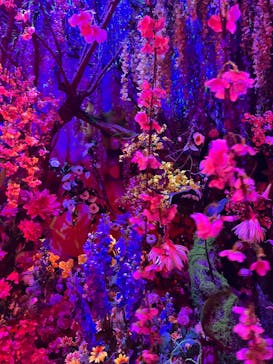 蜷川実花展 with EiM：彼岸の光、此岸の影 NINAGAWA Mika with EiM：Lights of the beyond, Shadows of this worldに投稿された画像（2025/2/2）