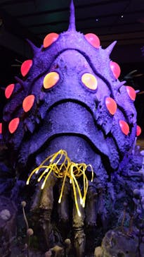 金曜ロードショーとジブリ展　三重展に投稿された画像（2025/2/2）