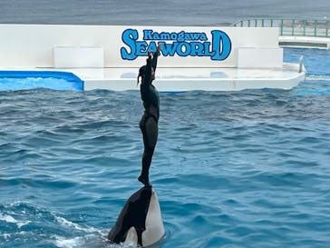 鴨川シーワールドに投稿された画像（2025/2/2）