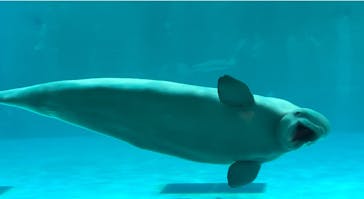 鴨川シーワールドに投稿された画像（2025/2/2）