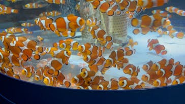 鴨川シーワールドに投稿された画像（2025/2/2）