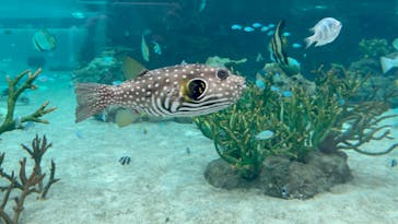 鴨川シーワールドに投稿された画像（2025/2/2）