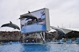 名古屋港水族館に投稿された画像（2025/2/2）