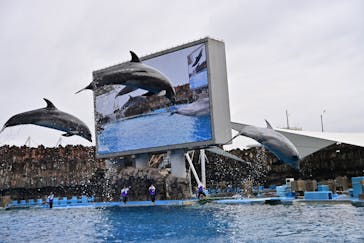 名古屋港水族館に投稿された画像（2025/2/2）