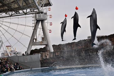 名古屋港水族館に投稿された画像（2025/2/2）