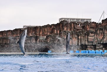 名古屋港水族館に投稿された画像（2025/2/2）