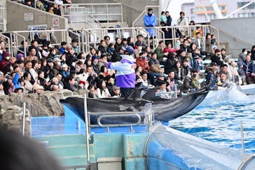 名古屋港水族館に投稿された画像（2025/2/2）