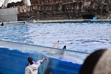 名古屋港水族館に投稿された画像（2025/2/2）