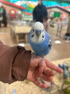 いきもの探検隊上尾に投稿された画像（2025/2/2）