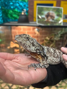 いきもの探検隊上尾に投稿された画像（2025/2/2）