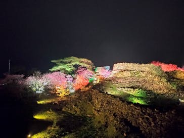 今帰仁城跡に投稿された画像（2025/2/2）