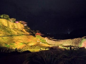 今帰仁城跡に投稿された画像（2025/2/2）