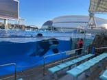 名古屋港水族館に投稿された画像（2025/2/2）