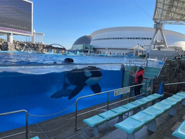 名古屋港水族館に投稿された画像（2025/2/2）